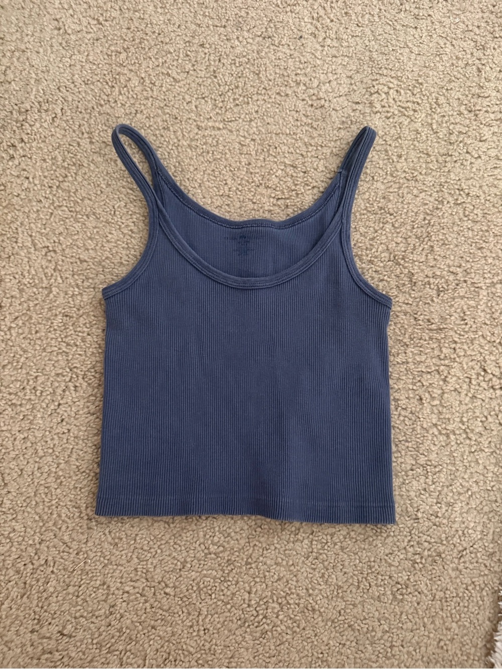 Brandy Melville Blue Ribbed Cropped Tank